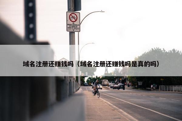 域名注册还赚钱吗（域名注册还赚钱吗是真的吗）