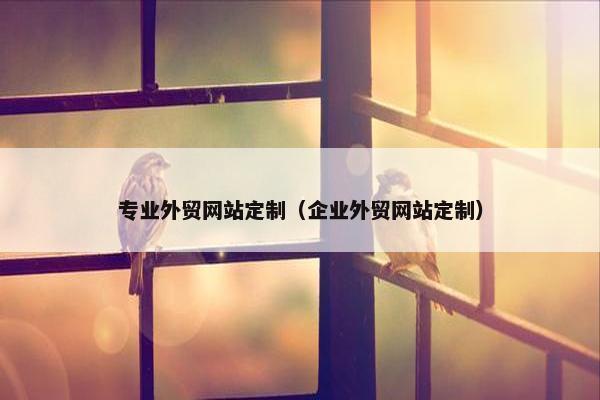 专业外贸网站定制（企业外贸网站定制）