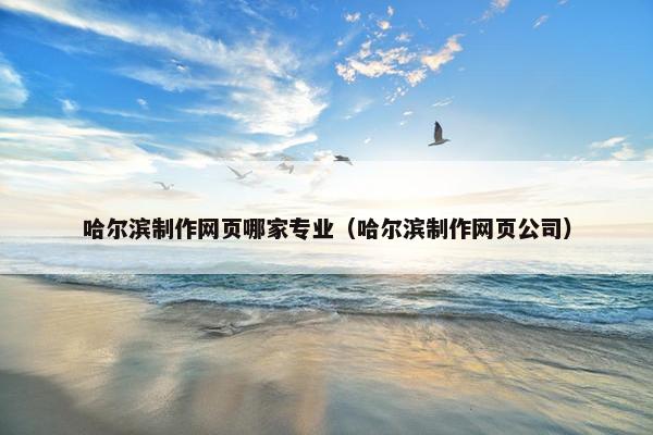 哈尔滨制作网页哪家专业（哈尔滨制作网页公司）