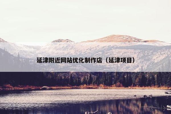 延津附近网站优化制作店（延津项目）