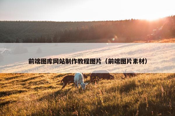 前端图库网站制作教程图片（前端图片素材）