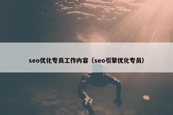 seo优化专员工作内容（seo引擎优化专员）