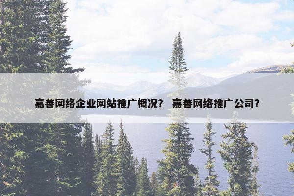 嘉善网络企业网站推广概况？ 嘉善网络推广公司？