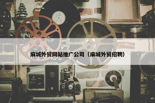麻城外贸网站推广公司（麻城外贸招聘）