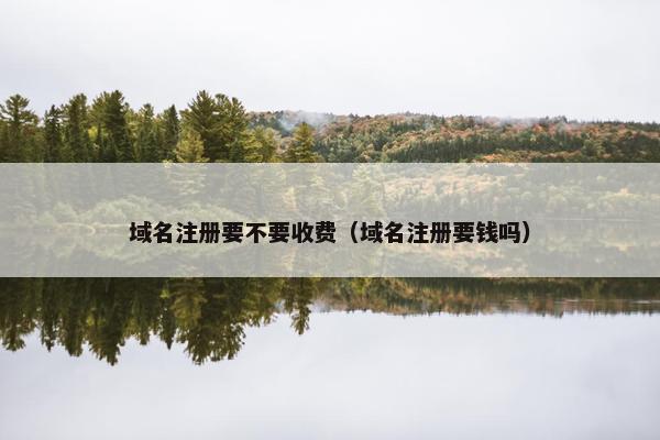 域名注册要不要收费（域名注册要钱吗）