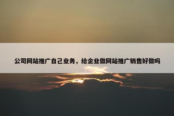 公司网站推广自己业务，给企业做网站推广销售好做吗