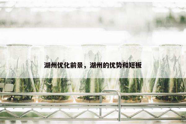湖州优化前景，湖州的优势和短板