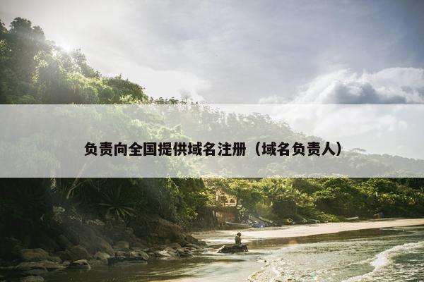 负责向全国提供域名注册（域名负责人）
