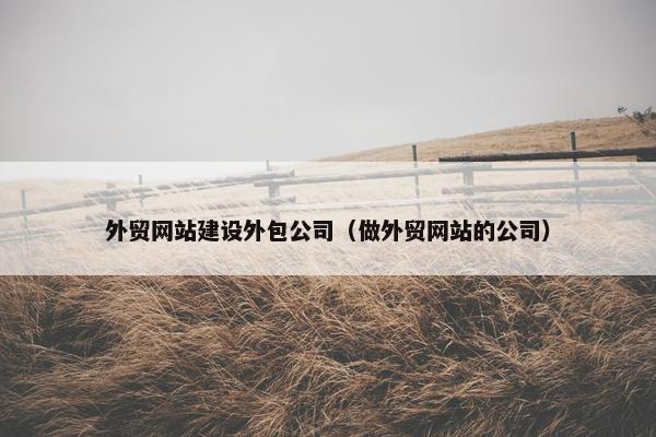 外贸网站建设外包公司（做外贸网站的公司）