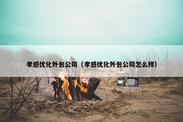 孝感优化外包公司（孝感优化外包公司怎么样）