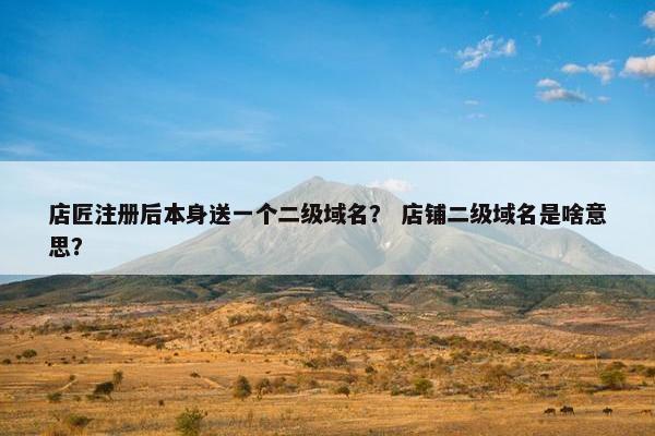 店匠注册后本身送一个二级域名？ 店铺二级域名是啥意思？