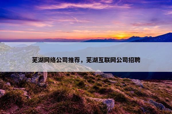 芜湖网络公司推荐，芜湖互联网公司招聘