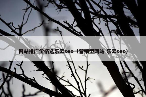 网站推广价格选乐云seo（营销型网站 乐云seo）