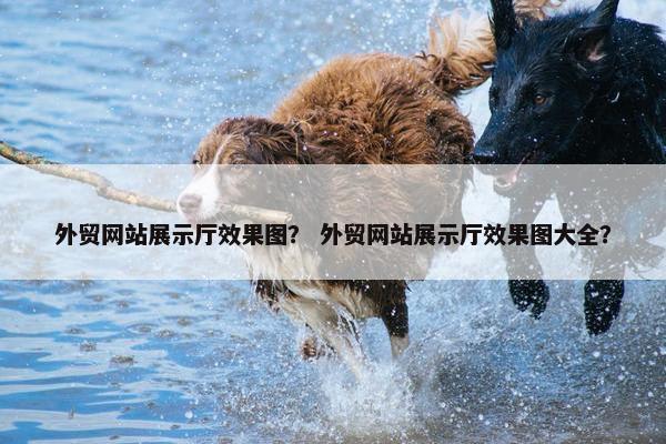 外贸网站展示厅效果图？ 外贸网站展示厅效果图大全？