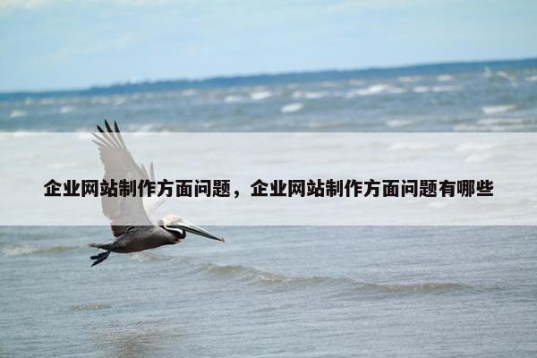 企业网站制作方面问题，企业网站制作方面问题有哪些