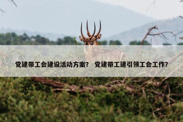 党建带工会建设活动方案？ 党建带工建引领工会工作？