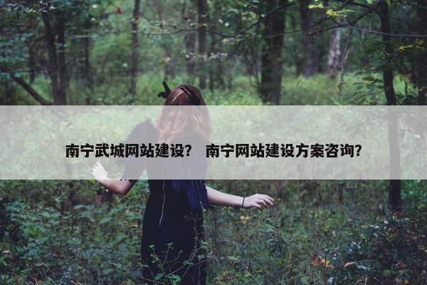 南宁武城网站建设？ 南宁网站建设方案咨询？