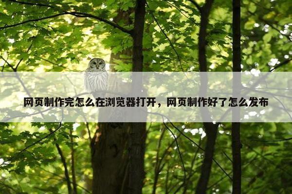 网页制作完怎么在浏览器打开，网页制作好了怎么发布