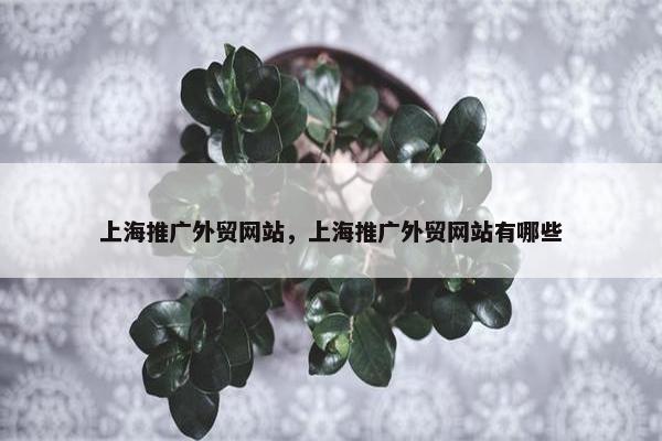 上海推广外贸网站，上海推广外贸网站有哪些