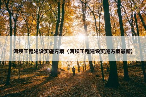 河坝工程建设实施方案（河坝工程建设实施方案最新）