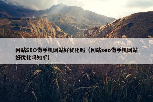 网站SEO做手机网站好优化吗（网站seo做手机网站好优化吗知乎）