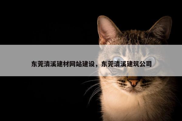 东莞清溪建材网站建设，东莞清溪建筑公司