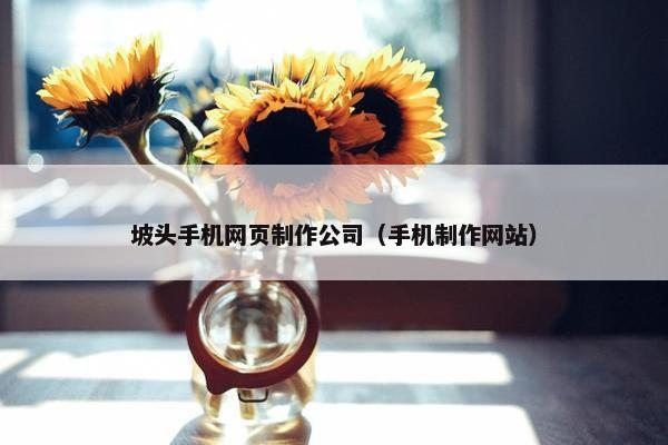 坡头手机网页制作公司（手机制作网站）