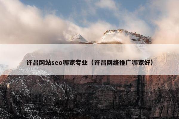 许昌网站seo哪家专业（许昌网络推广哪家好）