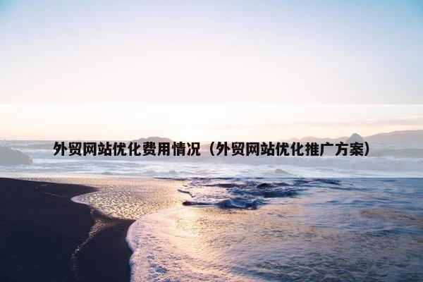 外贸网站优化费用情况（外贸网站优化推广方案）