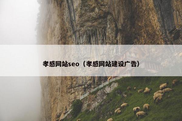 孝感网站seo（孝感网站建设广告）