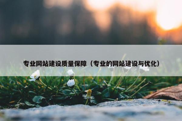 专业网站建设质量保障（专业的网站建设与优化）