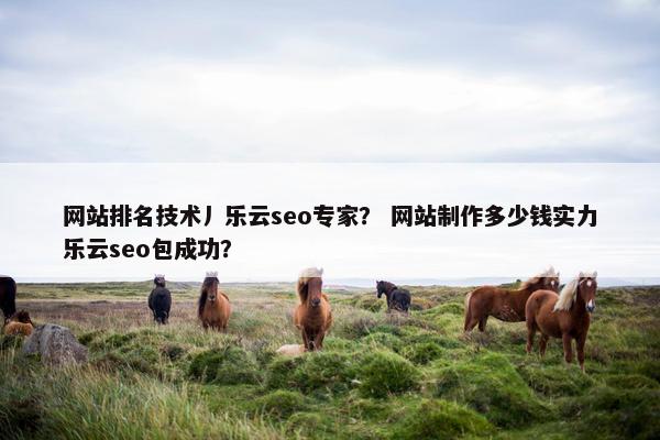 网站排名技术丿乐云seo专家？ 网站制作多少钱实力乐云seo包成功？