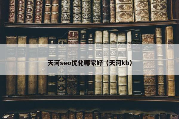 天河seo优化哪家好（天河kb）
