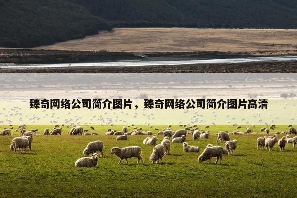 臻奇网络公司简介图片，臻奇网络公司简介图片高清