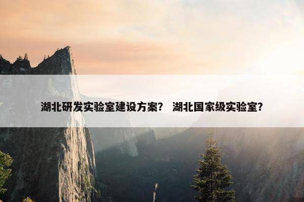湖北研发实验室建设方案？ 湖北国家级实验室？