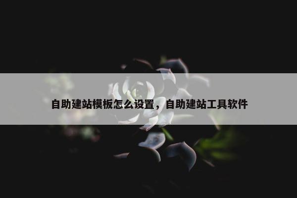 自助建站模板怎么设置，自助建站工具软件