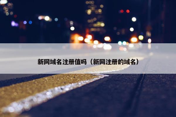 新网域名注册值吗（新网注册的域名）