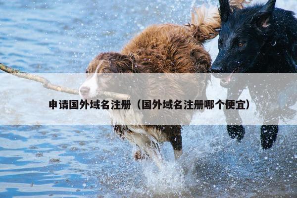 申请国外域名注册（国外域名注册哪个便宜）