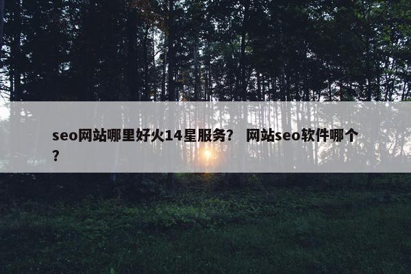 seo网站哪里好火14星服务？ 网站seo软件哪个？