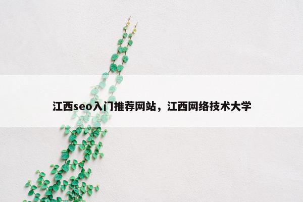 江西seo入门推荐网站，江西网络技术大学