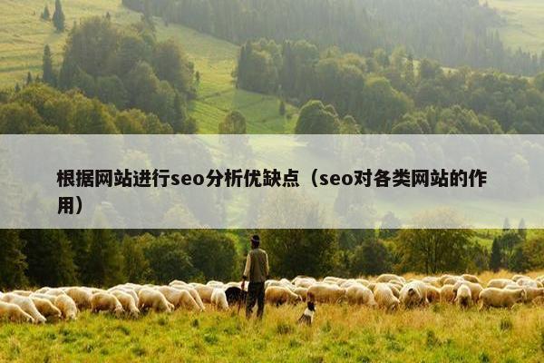 根据网站进行seo分析优缺点（seo对各类网站的作用）