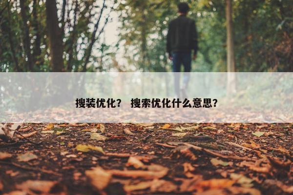 搜装优化？ 搜索优化什么意思？