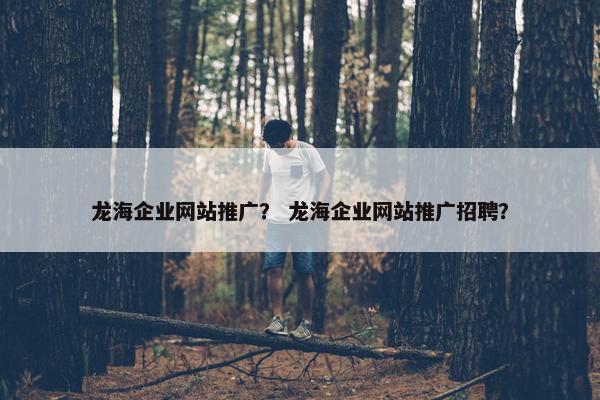 龙海企业网站推广？ 龙海企业网站推广招聘？
