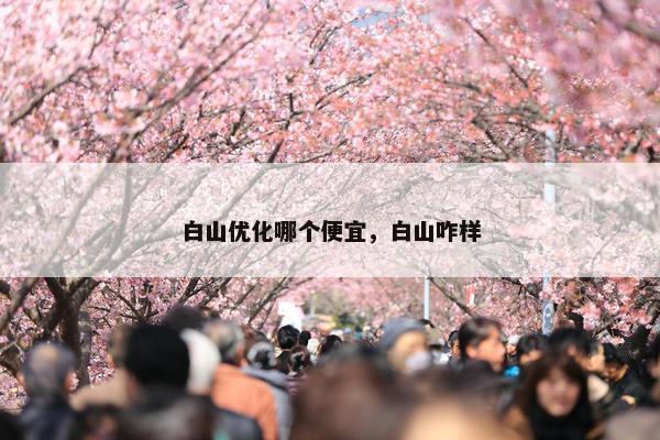 白山优化哪个便宜，白山咋样
