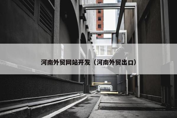 河南外贸网站开发（河南外贸出口）