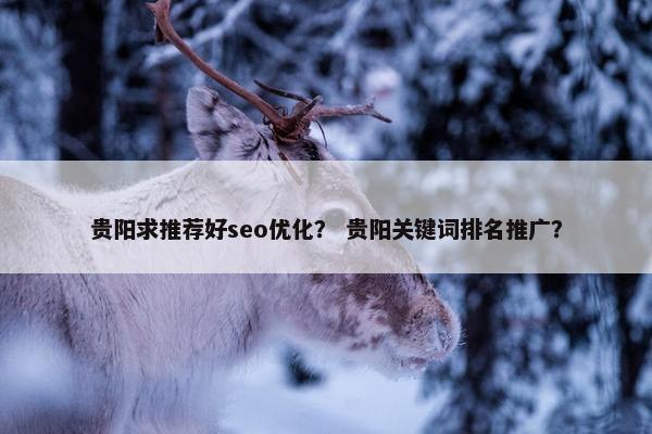 贵阳求推荐好seo优化？ 贵阳关键词排名推广？