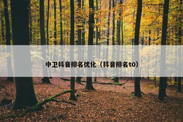 中卫抖音排名优化（抖音排名t0）