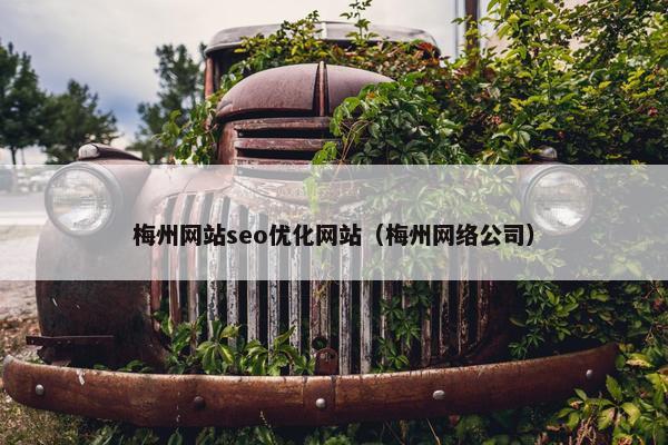 梅州网站seo优化网站（梅州网络公司）