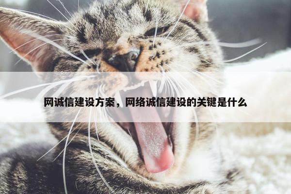 网诚信建设方案，网络诚信建设的关键是什么