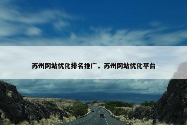 苏州网站优化排名推广，苏州网站优化平台